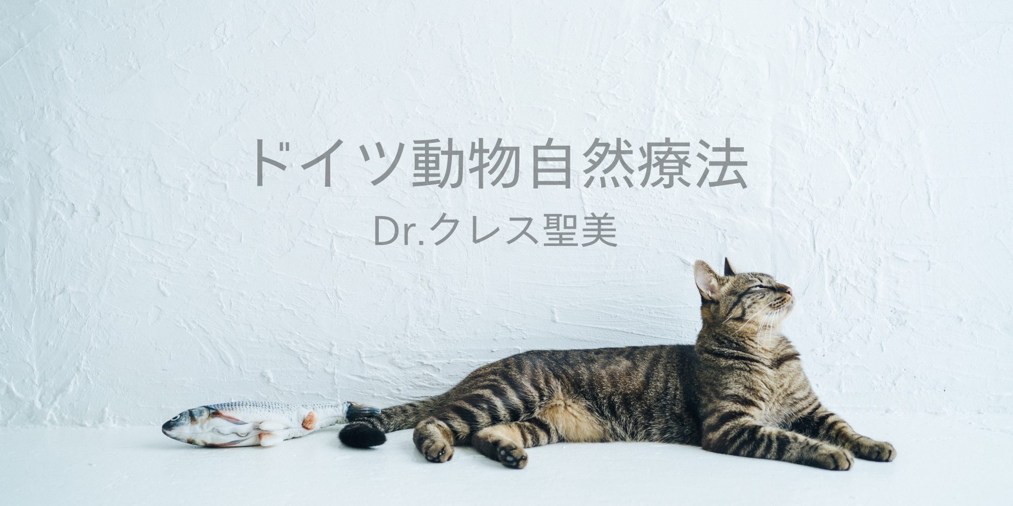 ドイツ動物自然療法 (Dr.クレス聖美) アイキャッチ画像